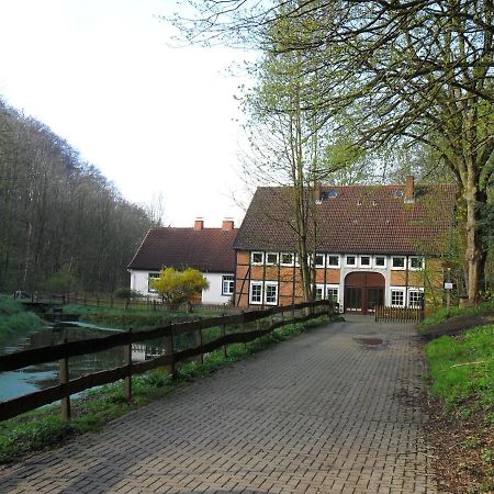 Hoellenmuehle Bed & Breakfast At The Mill Pond Hessisch Oldendorf Exteriér fotografie