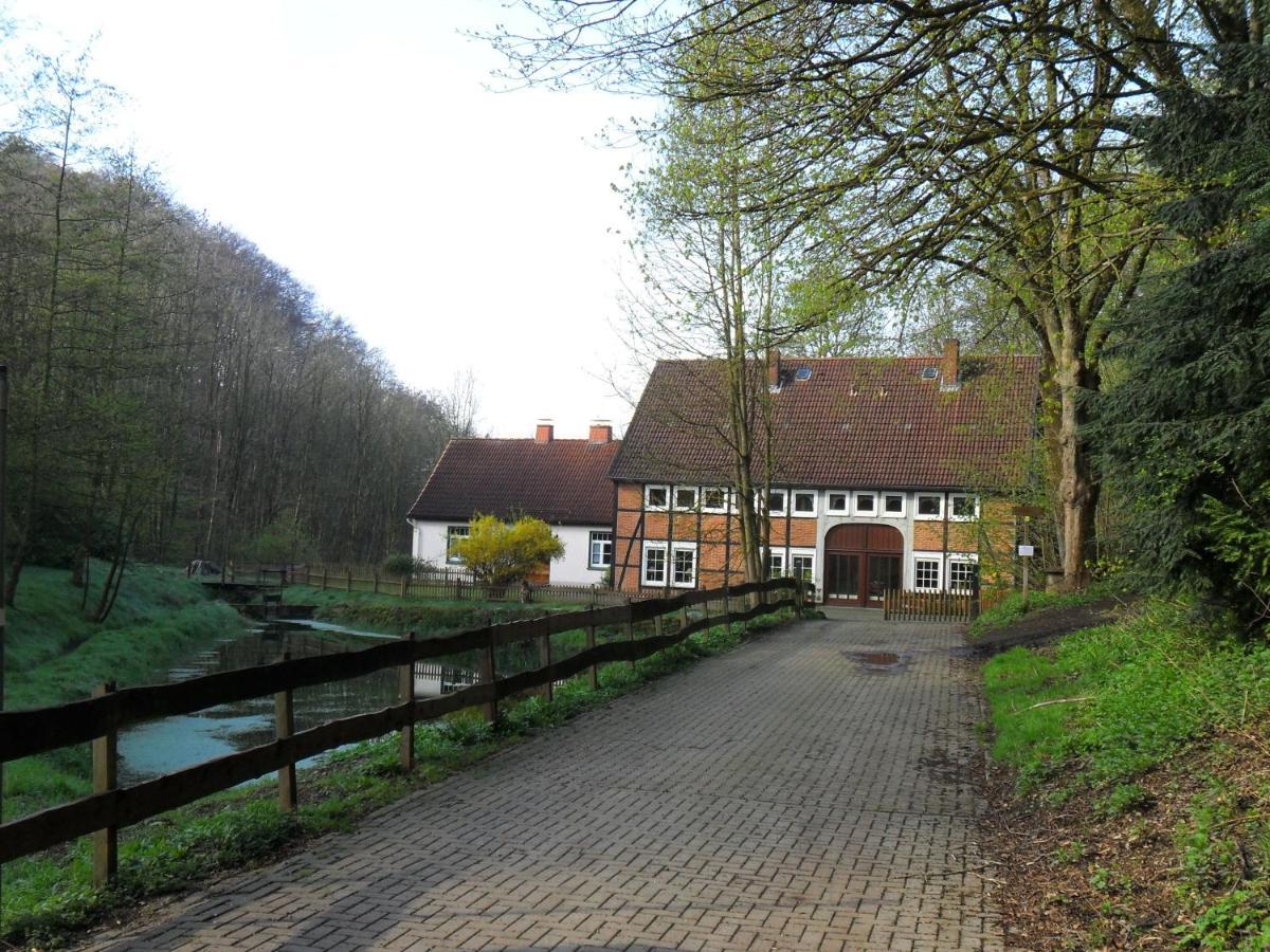 Hoellenmuehle Bed & Breakfast At The Mill Pond Hessisch Oldendorf Exteriér fotografie